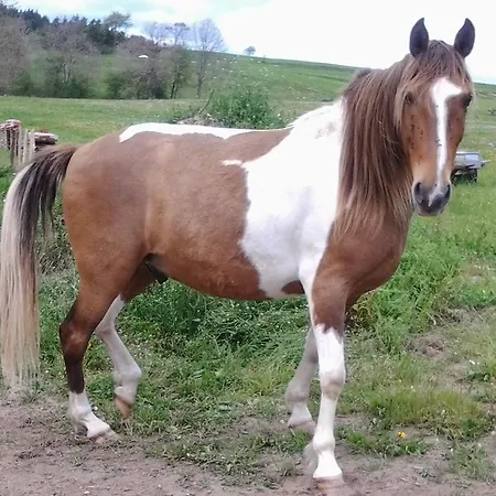 Au Nid D'hirondelles Prázdninový dům *